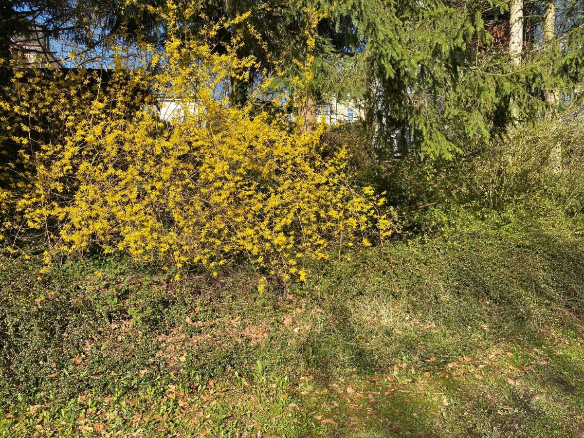 Ferienwohnung Sternenhimmel Lichtenberg  Exterior foto